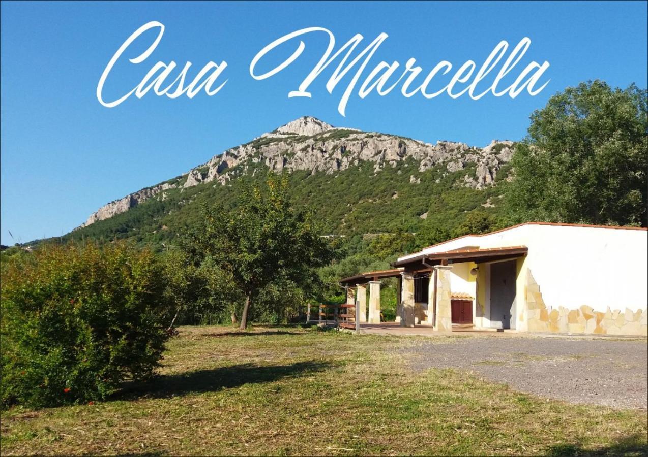 Casa Marcella Dorgali Exterior foto